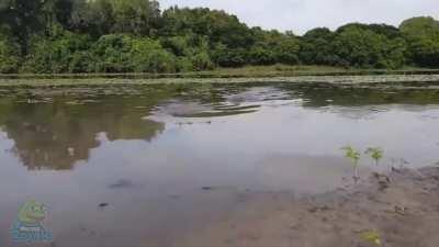 WCGW going fishing...