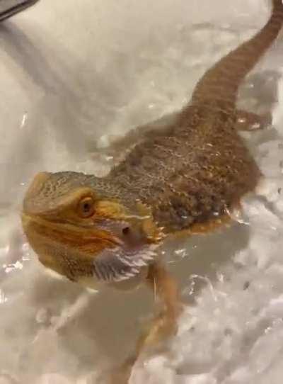 Splish splash I’m lovin mah bath 🛁