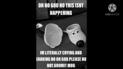 NOOO GROMIT MUGG11!!111