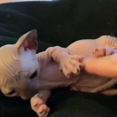 Last video of slinky today I promise