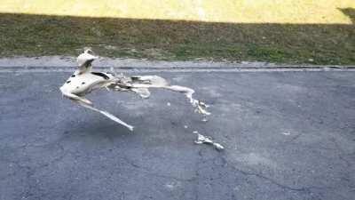 Thanks I hate being sucked up