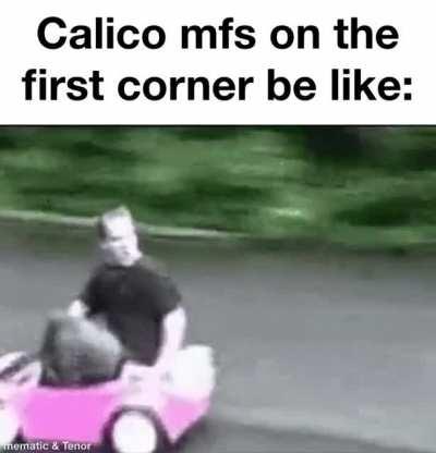 ppl: bro the calico is the best car. Calico: ok imma crash