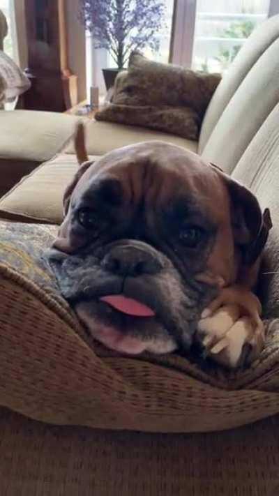 This old man makes me happy.