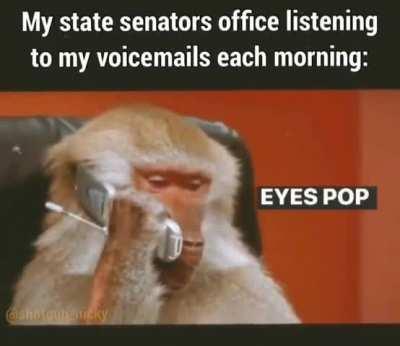 Why yes I do have an interest in politics 