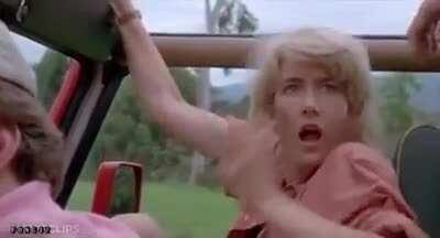 It is Wednesday my dudes