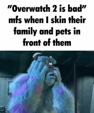 I own 5 cats and am a licensed dog breeder