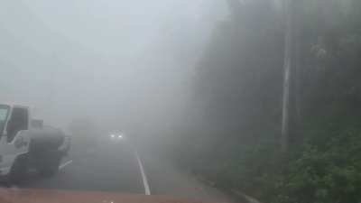 I only like brave men