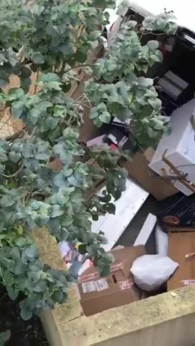 Your delivery is here.