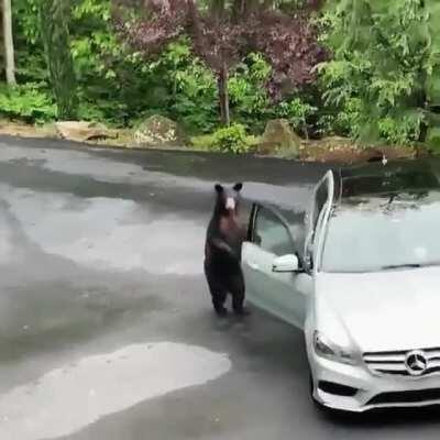 To get in the car