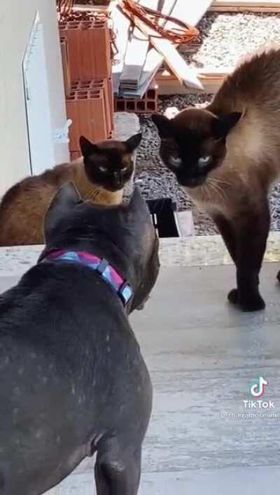 Things are bad here...