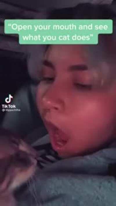 Thanks I hate cat sneeze