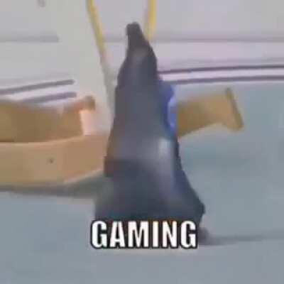 G@MERS HAVE TAKEN OVER CAPRISUN!!!