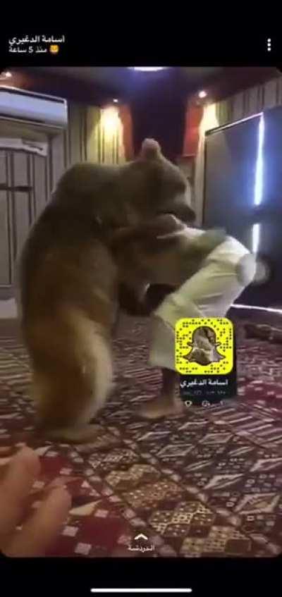 Shaheen vs Kuma Round 2