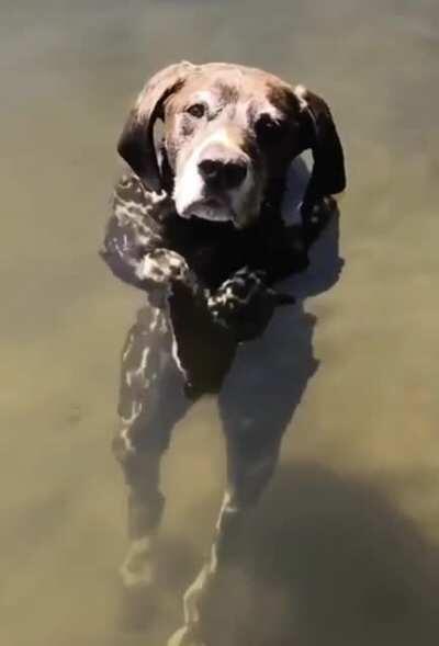 When the NPC you are talking to falls into water