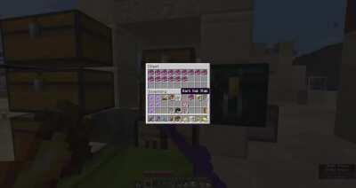 After trading with my villagers for Mending books an unexpecting me get a surprise...