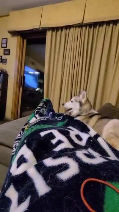 Dad sissy is in my spot!