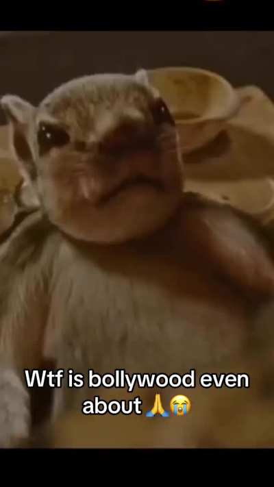 Chainsaw Man fans when they see anyone with holes