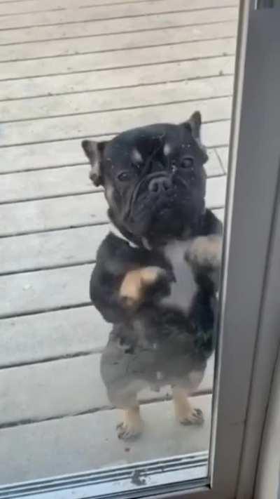 He is pure serotonin 