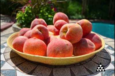 It’s a vibe honestly