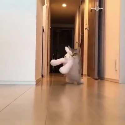 Here he comes with his toy