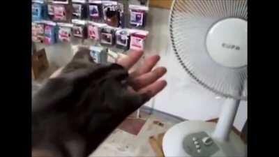 No es un meme pero espero que te alegre el día (Te quiero Dylan💕💖)