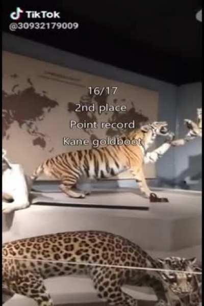 Summary of each season since Pochettino joined