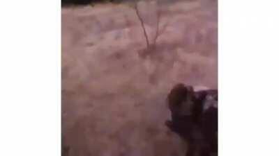 My friend sent this to me