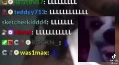 The amount of force is put to the inbred pit bull is astronomical