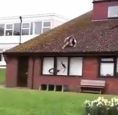 to ride bike off roof