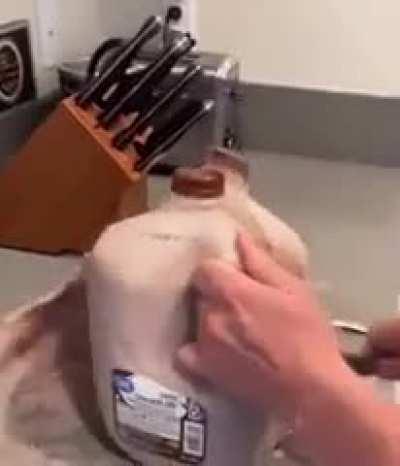 Let’s take a look at the cross section shall we