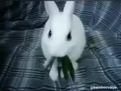 Don't forget to eat healthy greens