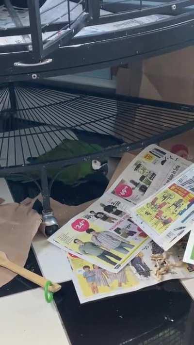 Coming Soon to all the Best Living Rooms and Salons