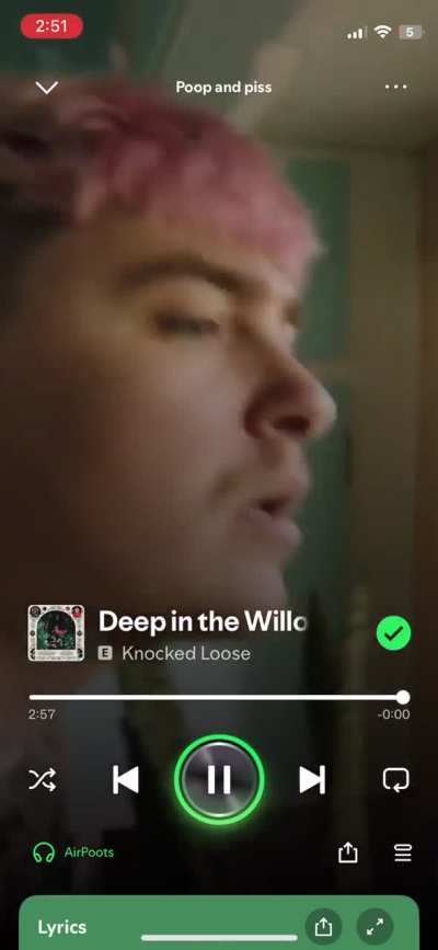 Anyone messed with spotify’s “mixer” thing?