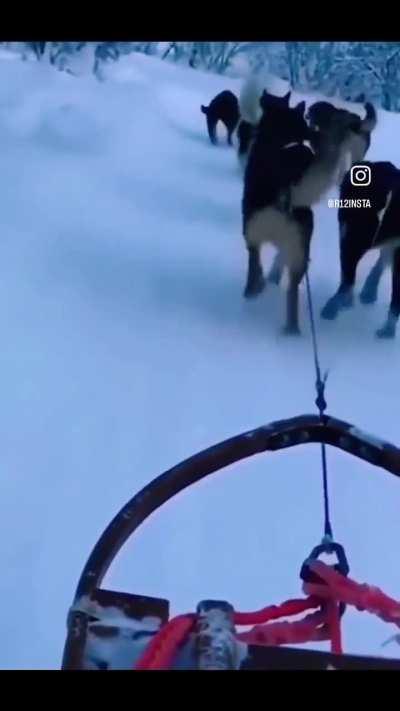 HMB whilst I poop on the way