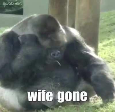 facefuck me with a brick