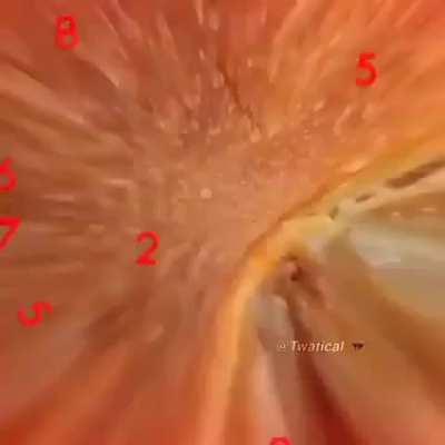 That cooking video is something special