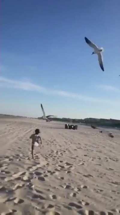 Shinji: “mama?” Meanwhile asuka: