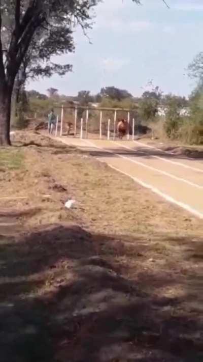 NO ME DEJES SECO PICANTE