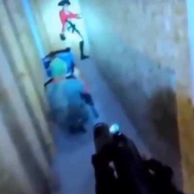 AuthRight encounters a wild LibRight.