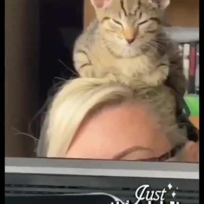 Best place to sleep - found!