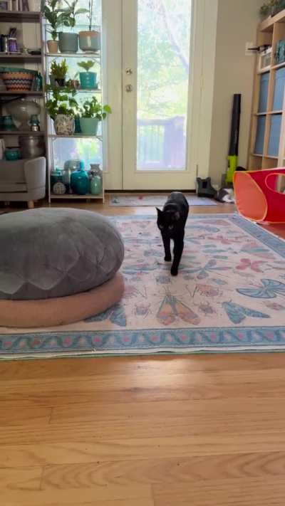 I could listen to Bonnie talk all day long