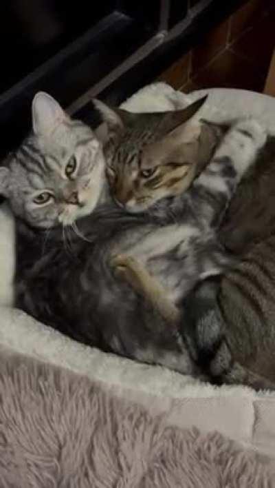 What'cha looking at?