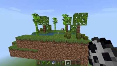 Mini Jungle Biome