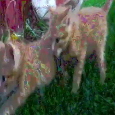 What is that music from? (kinda sad)