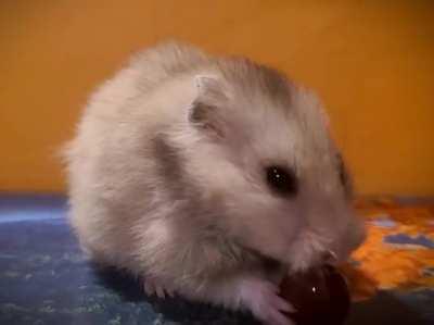 As promised, more content from my little Pumpkin hope you enjoy her lilgrabbies!