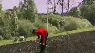 Eme remek mű alkotojának becsületes neve érdekelne tisztelt honfitársaim