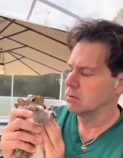 Beautiful(and Harassed) wunk