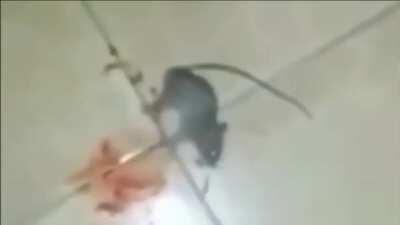 Changed latex be like