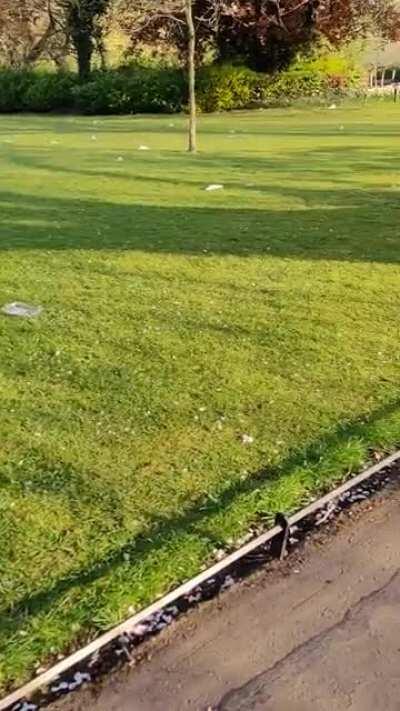 The state of Stephens Green this morning..