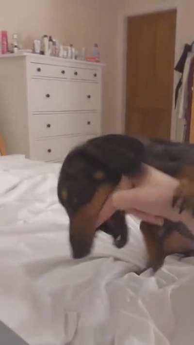 My sausage doesn't appreciate being flipped off